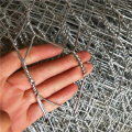 Galvanized Hexagonal Wire Mesh for Farm Chicken Mesh